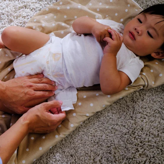 Kirkland Signature Diaper Sizes 3 - (16-28 lbs), 222 Diapers