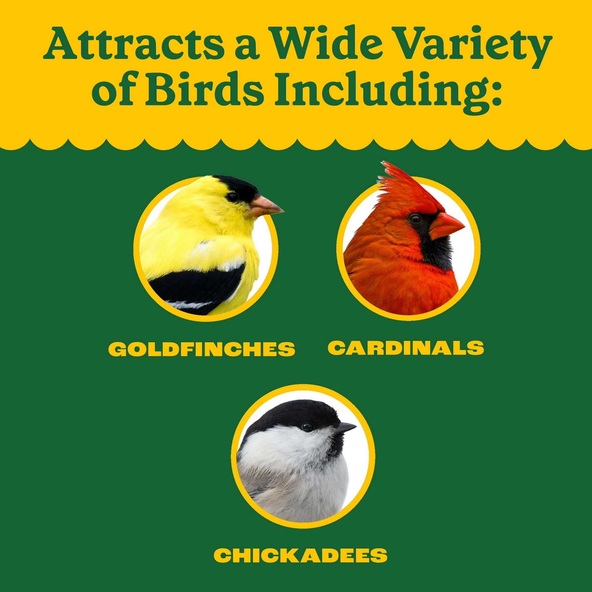 Pennington Classic Dry Wild Bird Feed and Wild Bird Seed, 10 lb. Bag, 1 Pack