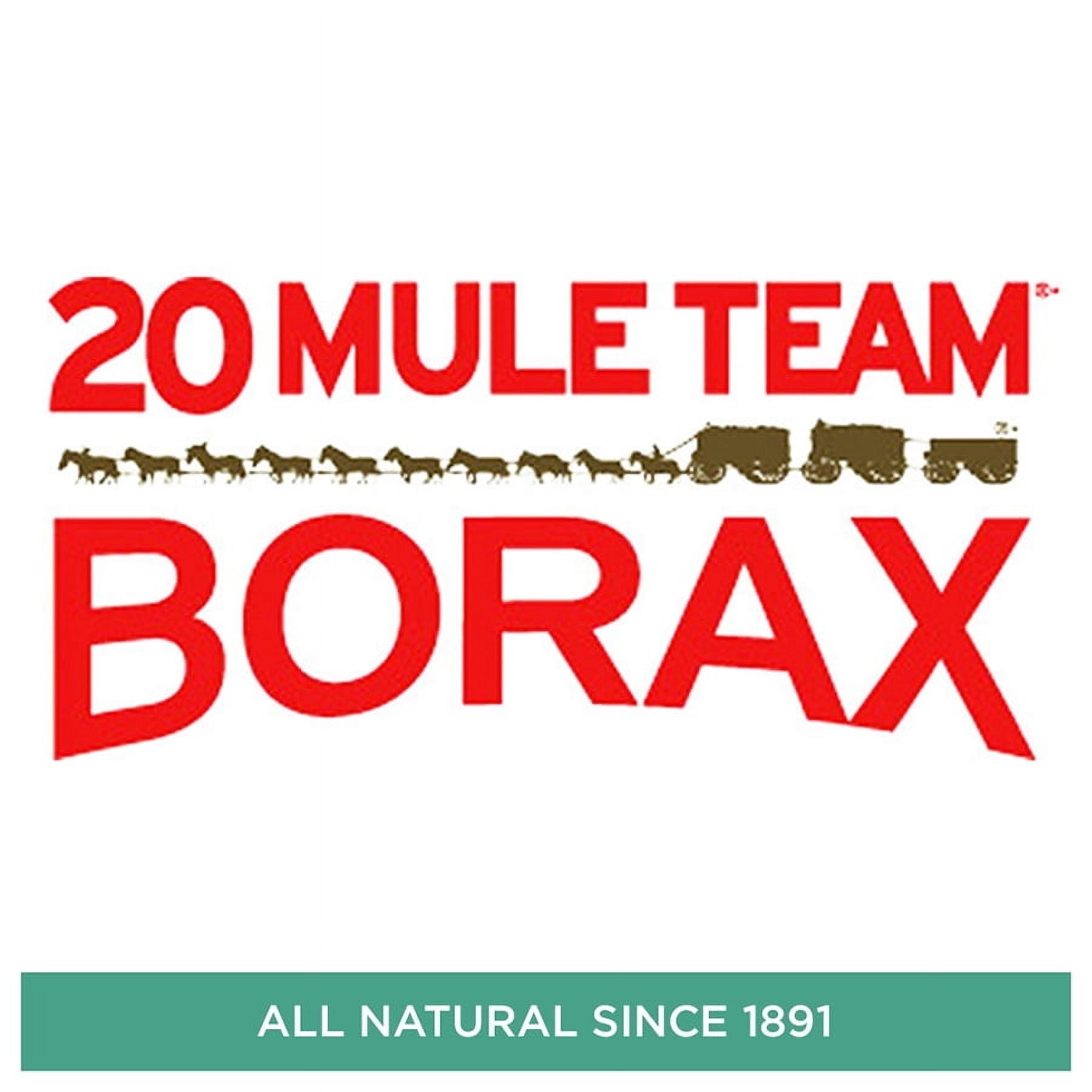 (3 pack) 20 Mule Team All Natural Borax Detergent Booster & Multi-Purpose Household Cleaner, 65 Ounce